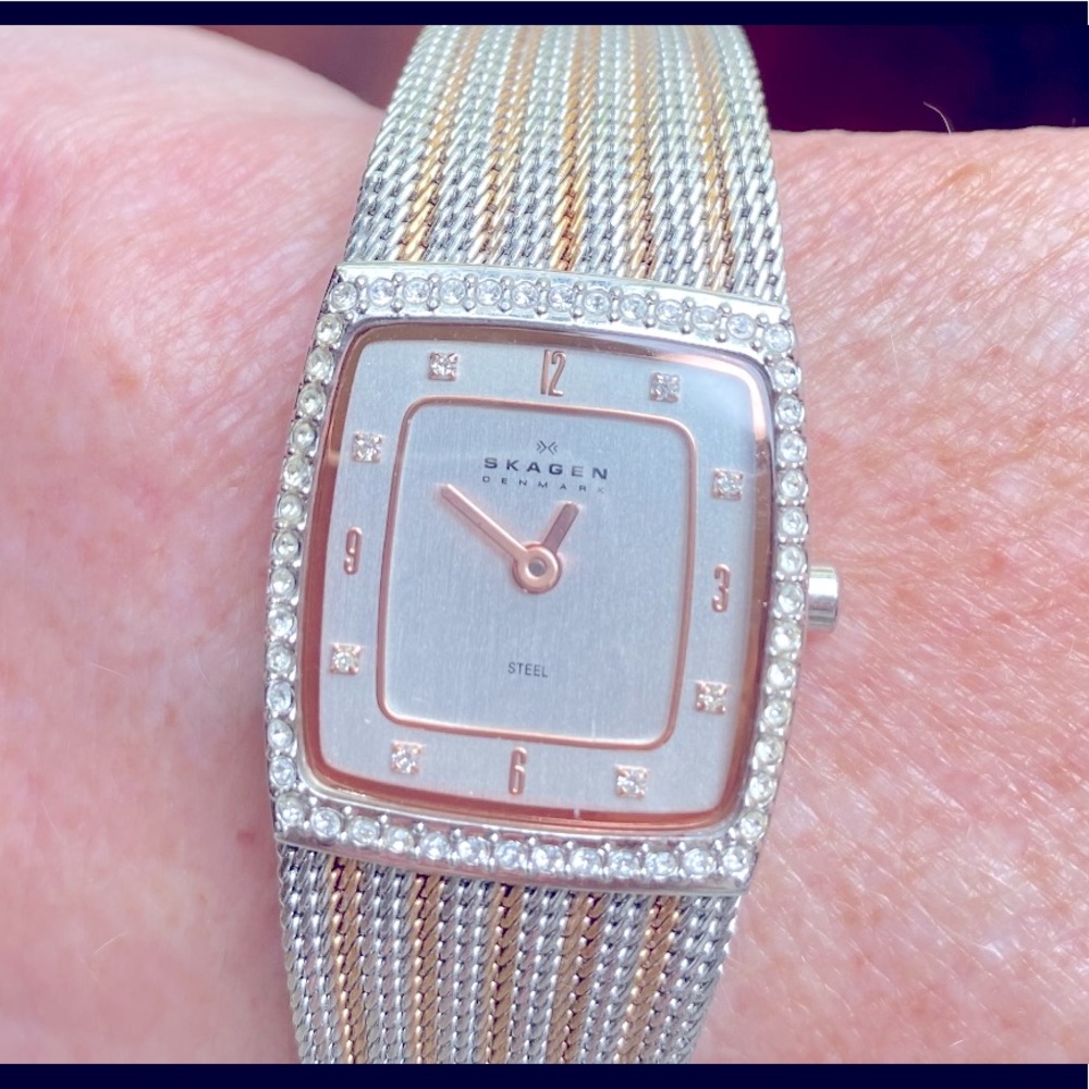 Skagen Two-Toned Watch
